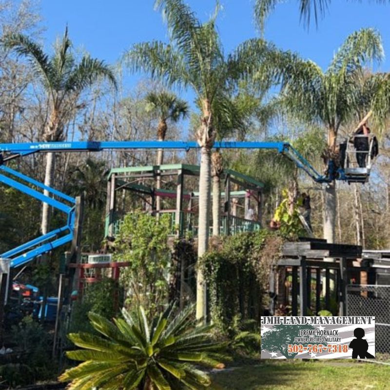 We do not spike climb your trees leaving large gauges forever.